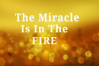 Your Miracle is In The Fire